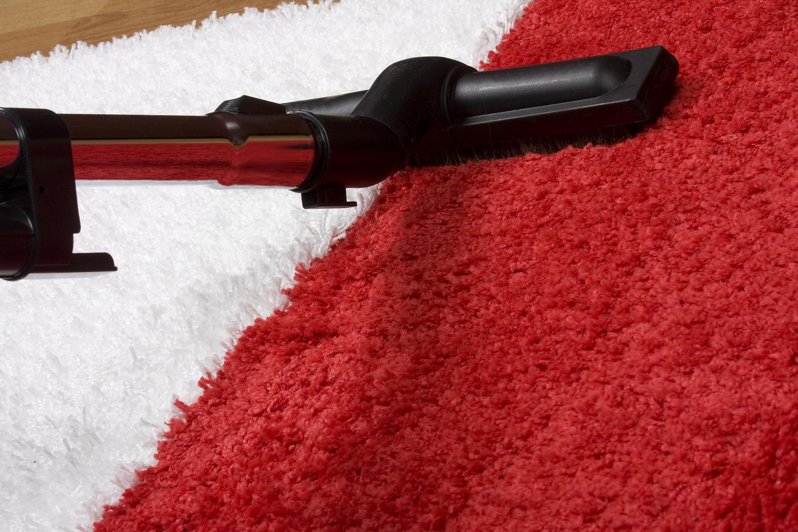 What to Expect From Your Carpet Cleaners