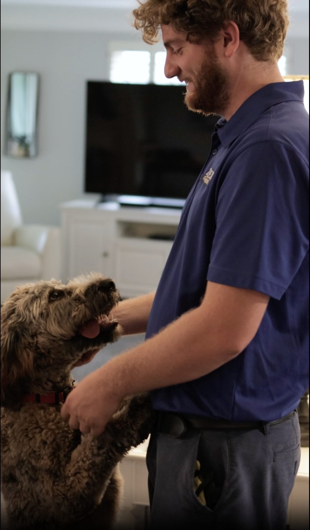 Furry Friends and Fresh Air: How Pets Affect Indoor Air Quality and the Power of Professional Air Duct and Carpet Cleaning