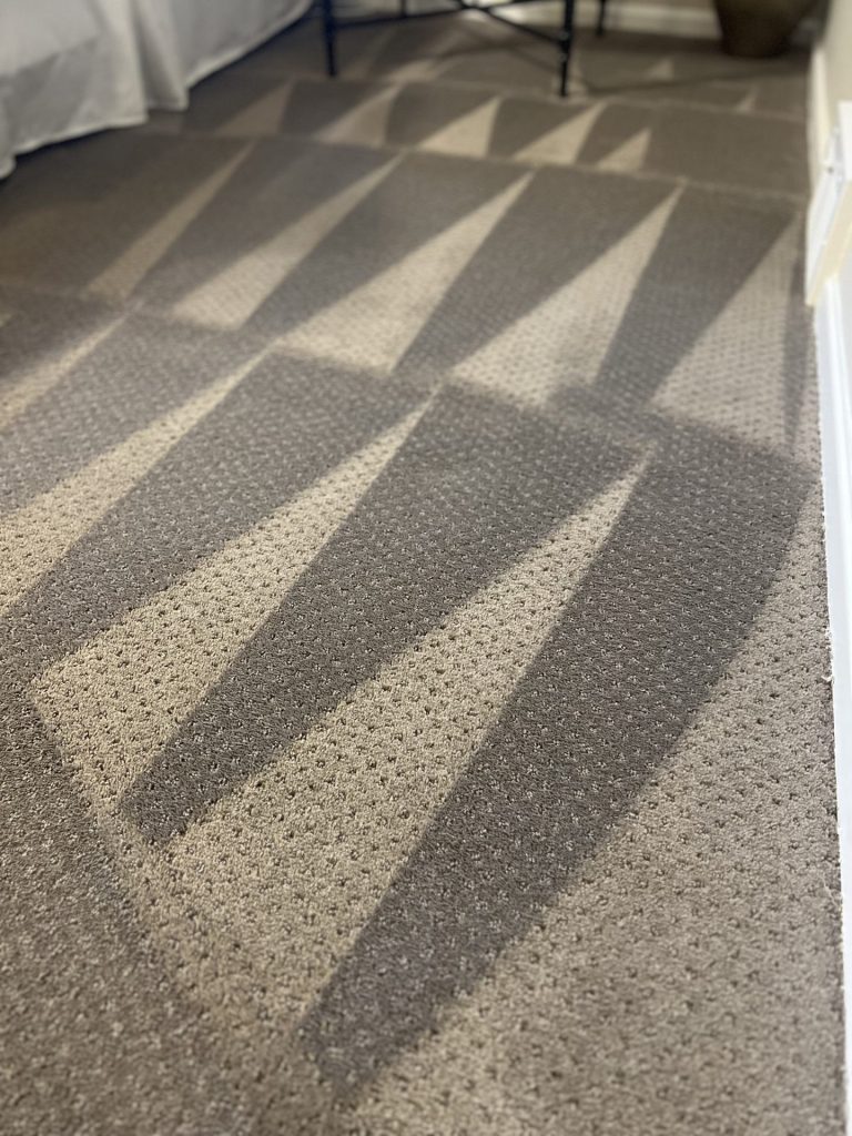 A carpet thoroughly cleaned using the the hot water extraction method, how Zeppelin's carpet cleaning works.