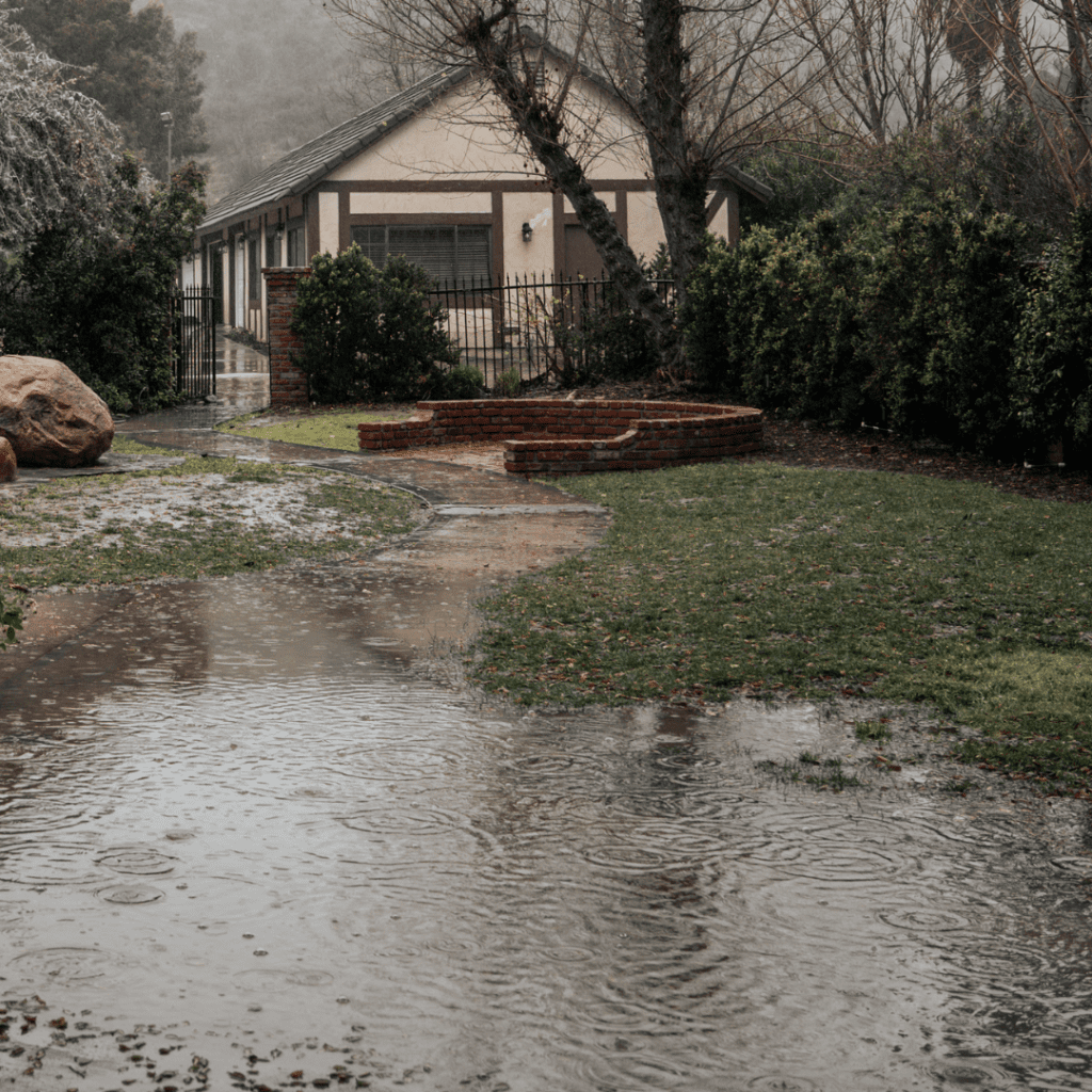A house in St. Clair Shores that needs mold remediation