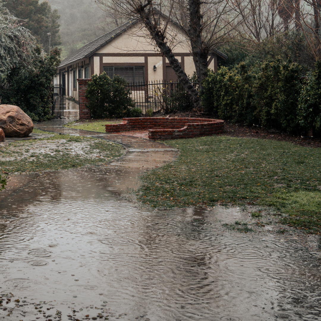 Why Grosse Pointe Homes Flood—and How to Fix It